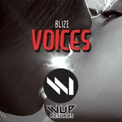 Blize - Voices (Available February 20)