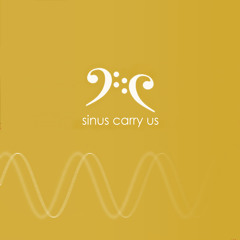 Sinus Carry Us (Original Mix)