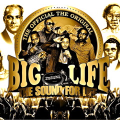 BigLife Sound - Natty King - Guns To Town - Dub Special