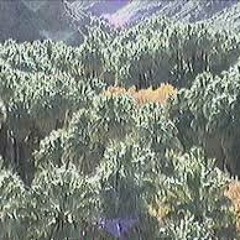 Ben Beal - Portal [Feat. tyler coolidge] [Prod. Prxphet]