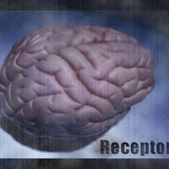 All Cars Have Mind - Receptor (No Sleep)