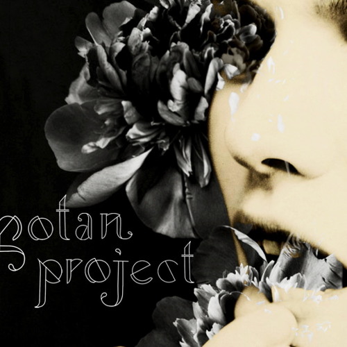 Gotan Project