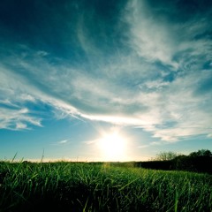 Mystery Jets - Radlands (Rampue Mix)