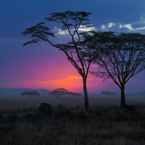 https://i1.sndcdn.com/artworks-000105055846-t5rnmt-t500x500.jpg