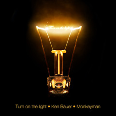Ken Bauer & Monkeyman - Turn On The Light (radio Edit)