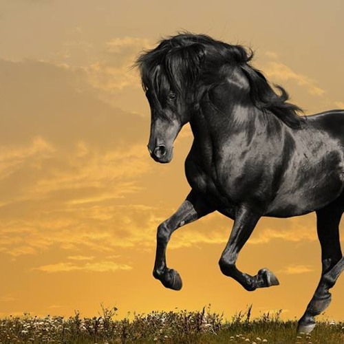 الشيخ محمد العريفي يصف سكرات الموت ،، مؤثر جداً