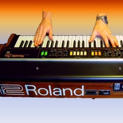Roland VP-330 Vocoder Plus  "Voices"