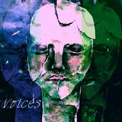 Voices (ft. A. Sul)