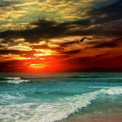 Un'altra stupida canzone!