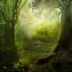 Free Your Mind (Live) - Jasmine