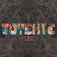 Totemic 3 Decks @ alienInFlux + promise + bassGators NYE