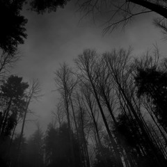 Dark Trance