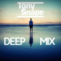 Tony Snape – Deep Mix #2