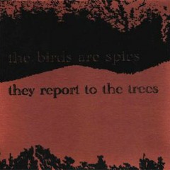 The Birds Are Spies, They Report To The Trees - A Song For Gera (demo)