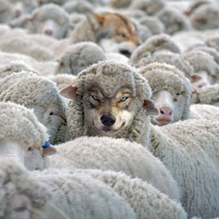 Dollar Store Prophet