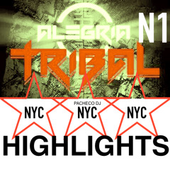 ALEGRIA TRIBAL NYC HIGHTLIGHTS (N1)