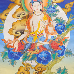 The Asians Know(no.1)