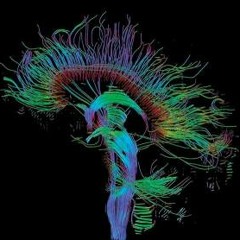 I Opened My Eyes and Got Lost (Interlude)