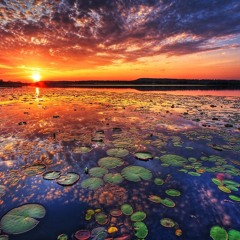 Paper Planes (Tupac Remix)