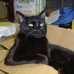 Tahuna Breaks - Voodoo (Voiceover Cover)