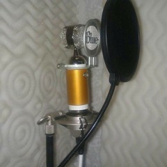 Studio (Texas version)