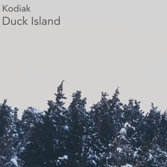 Duck Island