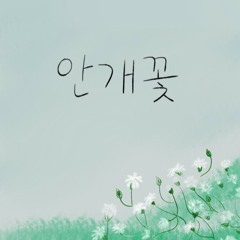 안개꽃