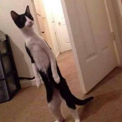 Think that they know at  The Toilet Room