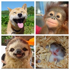 You and I cover (2014)