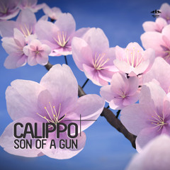 Calippo - Get It On (Radio Mix)