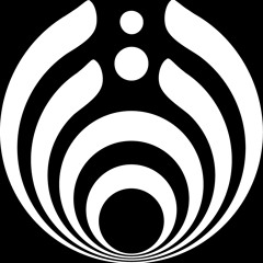 Bongo Bong By Bassnectar