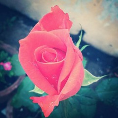 humne jo ki thi mohabbat aaj hhi hai...