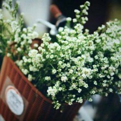 Những Ngày Đã Qua