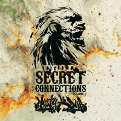 MYSTY K DUB feat. W. Mc ANUFF & Camille bazbaz - Secret Connections