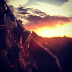 You've Got A Friend In Me/Jij Bent Een Vriend Van Mij - Affy Cover