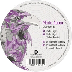 Mario Aureo - Do You Want To Know (El Mundo Remix)