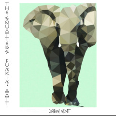 The Squatters Vs Funkin Matt - Elephant Afterhours (2Fire Edit)Buy=FreeDL