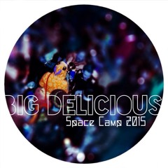 Big Delicious @ Space Camp NYE 2015