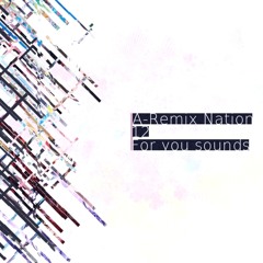 【NEW RELEASE】A-Remix Nation 12 Disk2 Cross Fade