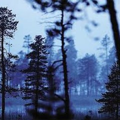 E.T.H (Italy)Dark Room Podcast 007 (Flat.FM)