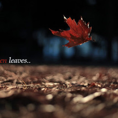 Fallen Leaves