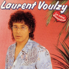 Laurent Voulzy - Le Coeur Grenadine - Ghislain Palisson Remix
