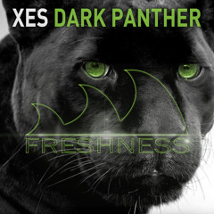 Xes - Dark Panther(Original Mix) - Now on iTunes !