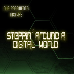 Dub Presidents Mixtape - Steppin Around A Digital World