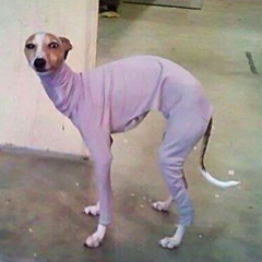 battlefield 4 theme (peanutbuter) remix