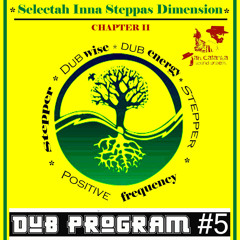 Selectah Inna Steppas Dimension Chapter II (by Dub Program #5)