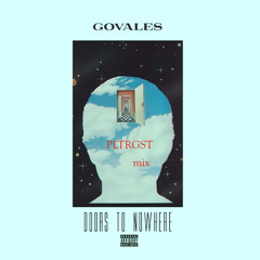 Govales - Doors To Nowhere (PLTRGST MIX)