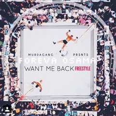 Want Me Back  (Freestyle)