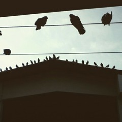 Doktor Rheal - Libro de Vida By. Blairone