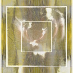 Tic: Belmont Branigan [disquiet0161 - Netmixrelabel]